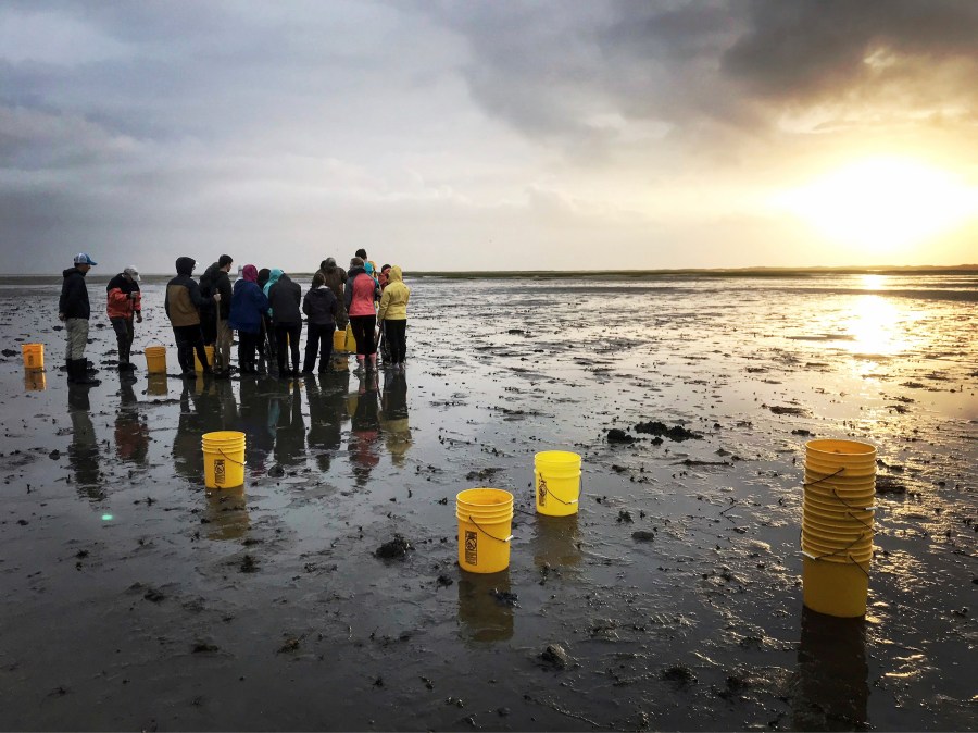 This May 19, 2018 photo provided by William & Mary shows undergraduates enrolled in William & Mary’s field course marine science minor exploring a mudflat at low tide on Virginia’s Eastern Shore. The university announced Wednesday July 24, 2024, that it’s expanding a new major in marine science, hiring more faculty and deepening research into coastal resilience with a $100 million gift from philanthropist Jane Batten. (William & Mary via AP)