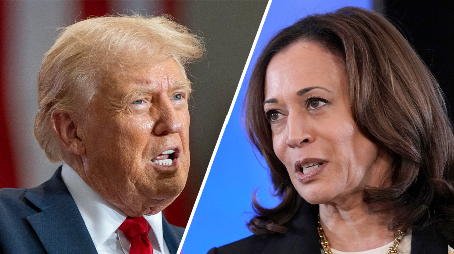 Former President Trump and Vice President Harris