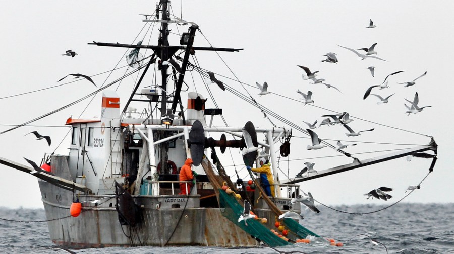 Gulls follow a commercial fishing boat as crewmen haul in their catch in the Gulf of Maine, in this Jan. 17, 2012 file photo. Executive branch agencies will likely have more difficulty regulating the environment, public health, workplace safety and other issues under a far-reaching decision by the Supreme Court. The court's 6-3 ruling on Friday overturned a 1984 decision colloquially known as Chevron that has instructed lower courts to defer to federal agencies when laws passed by Congress are not crystal clear. (AP Photo/Robert F. Bukaty, File)