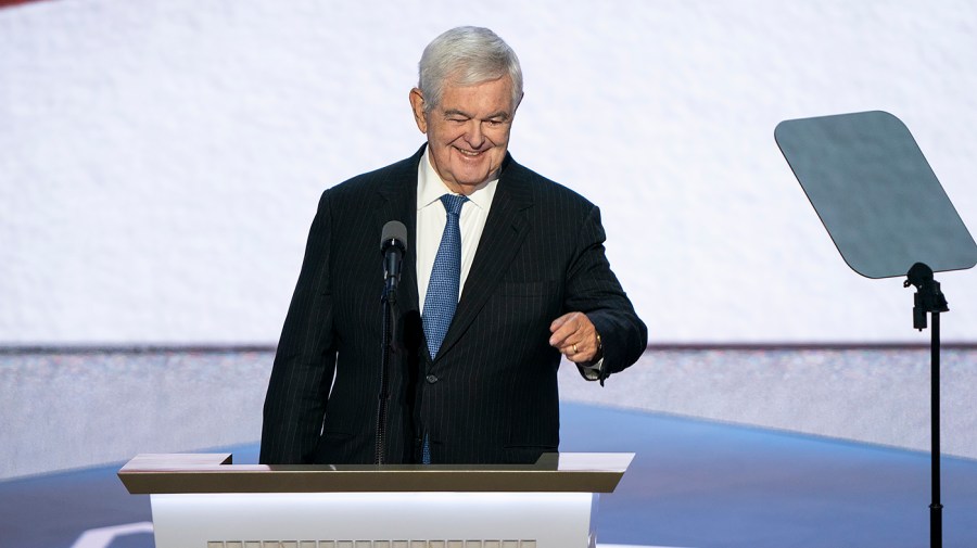 Former Speaker Newt Gingrich (R-Ga.)