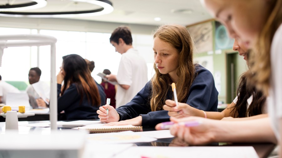 Group of school friends learning classroom knowledge