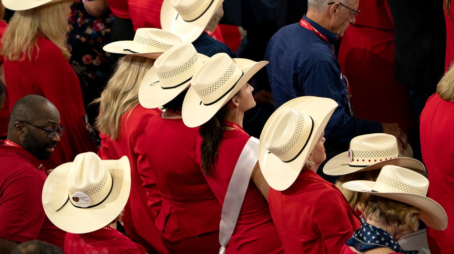 The delegation from Texas is seen during the Republican National Convention