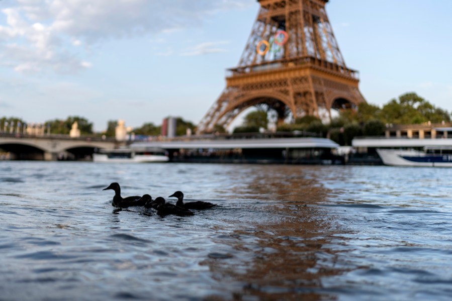 Ducks swim along the Seine River in front of the Eiffel Tower during the 2024 Summer Olympics, Monday, July 29, 2024, in Paris. As the Olympics continue in Paris, the Seine River's water quality remains a major area of concern for officials. Organizers of the triathlon event cancelled swimming practice on Monday for the second day in a row because of poor water quality. Event organizers hope sunny weather will make swimming viable on Tuesday when the triathlon begins. (AP Photo/David Goldman)