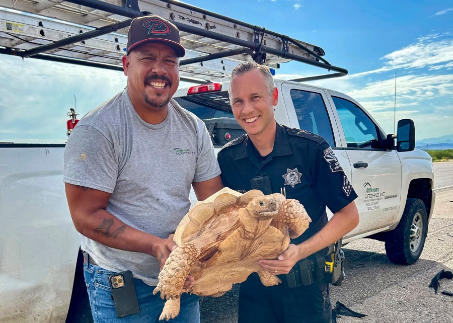 An unidentified driver and Arizona Department of Public Safety Sgt. Steven Sekrecki hold a rescued a sulcata tortoise that was attempting to cross Interstate 10 near Picacho, Ariz., on July 30, 2024. The motorist and Sekrecki managed to get the tortoise off the roadway unharmed. (Arizona Department of Public Safety via AP)