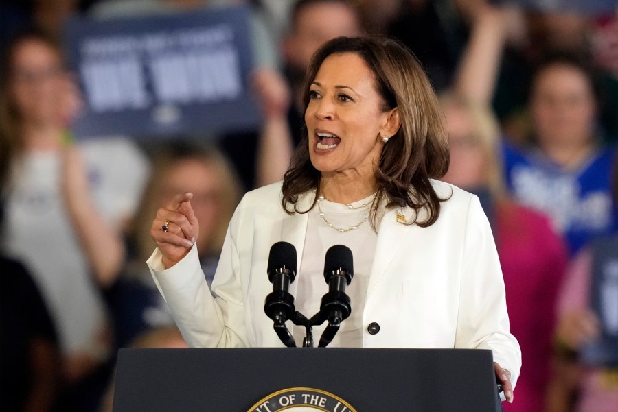 FILE - Democratic presidential nominee Vice President Kamala Harris speaks at a campaign rally, Aug. 7, 2024, in Romulus, Mich. (AP Photo/Carlos Osorio, File)