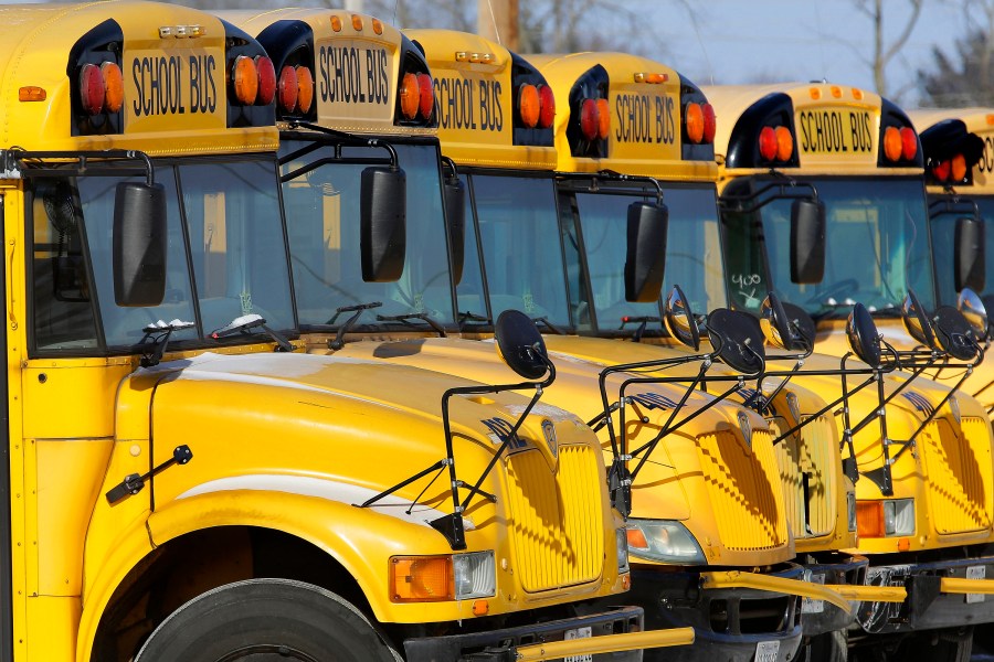 FILE - Public school buses are parked in Springfield, Ill., on Jan. 7, 2015. (AP Photo/Seth Perlman, File)