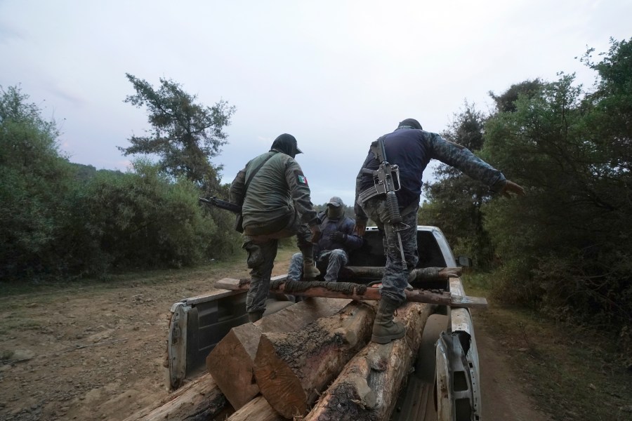 FILE - Communal police forest officers walk on seized pine logs they found hidden in the brush along the road while on patrol, on the outskirts of the Indigenous township of Cheran, Michoacan state, Mexico, Jan. 20, 2022. (AP Photo/Fernando Llano, File)