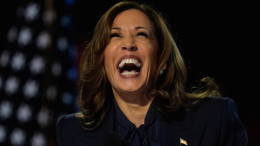 Democratic presidential nominee Vice President Kamala Harris speaks during the Democratic National Convention Thursday, Aug. 22, 2024, in Chicago. (AP Photo/Erin Hooley)