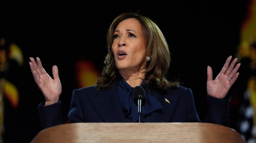 Democratic presidential nominee Vice President Kamala Harris speaks during the Democratic National Convention Thursday, Aug. 22, 2024, in Chicago. (AP Photo/Paul Sancya)